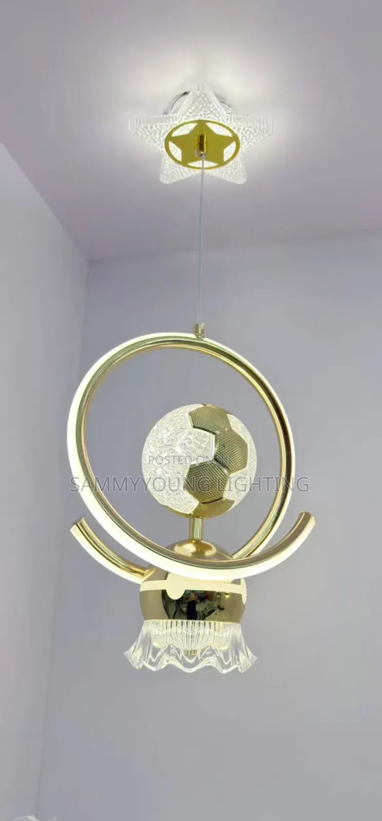 Quality Led Chandelier Single Dropping Pendant Light