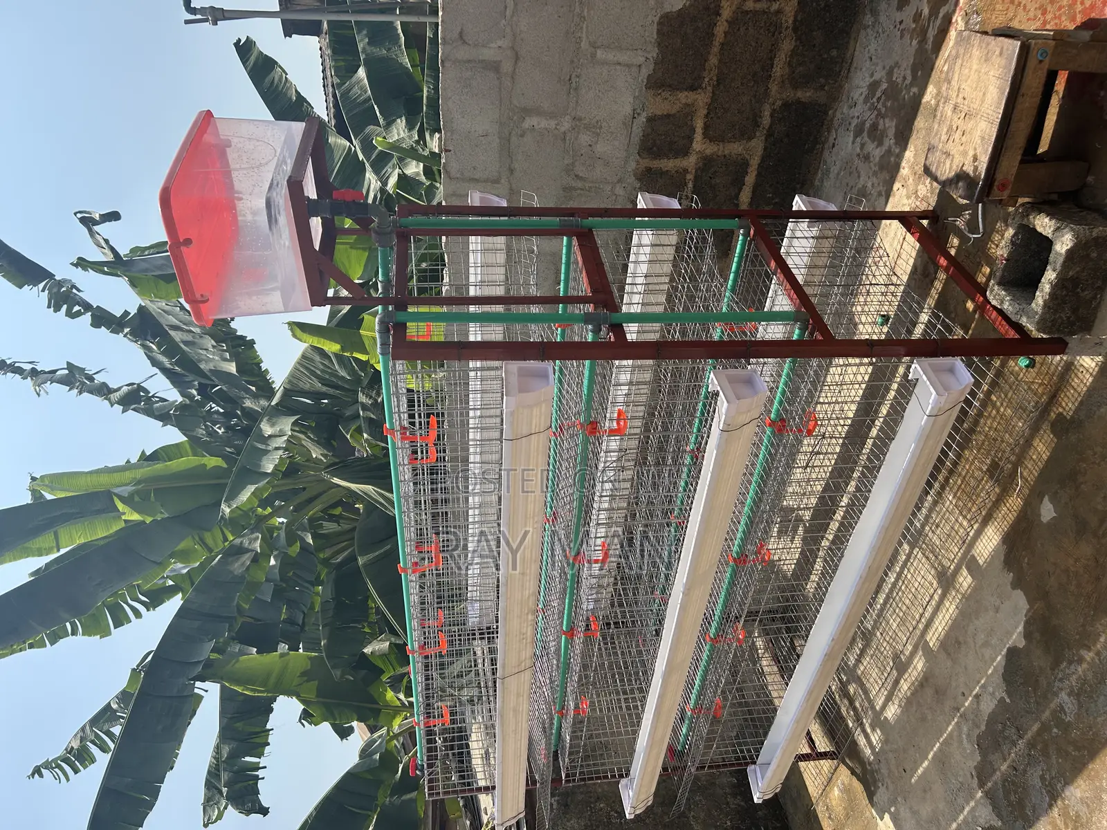 H-Type Layer Poultry Cages