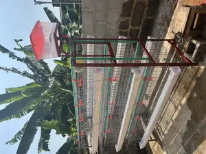 H-Type Layer Poultry Cages
