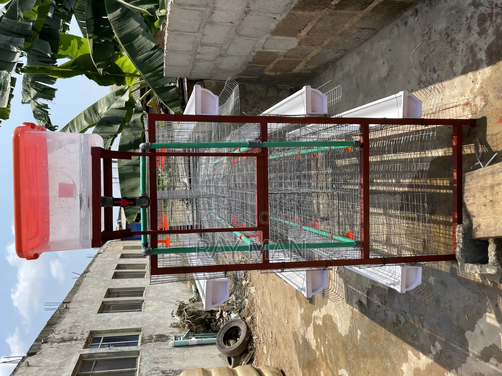 H-Type Layer Poultry Cages