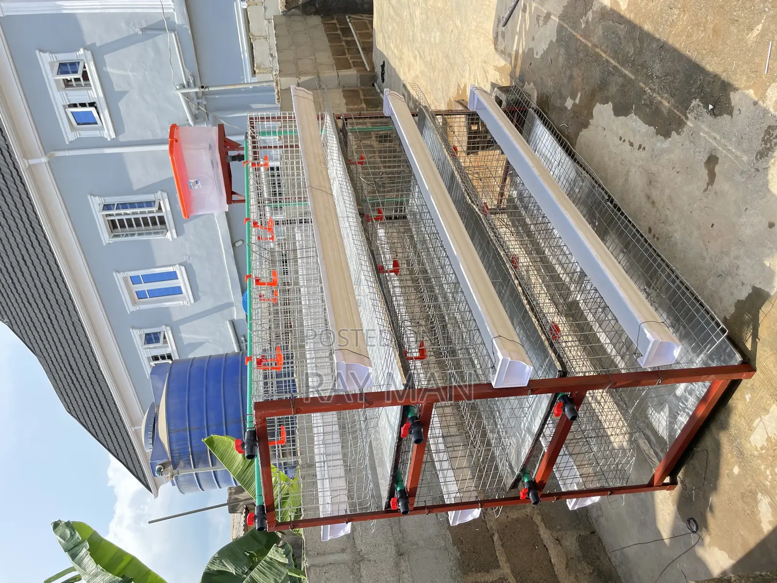 H-Type Layer Poultry Cages