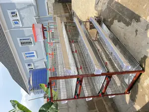H-Type Layer Poultry Cages