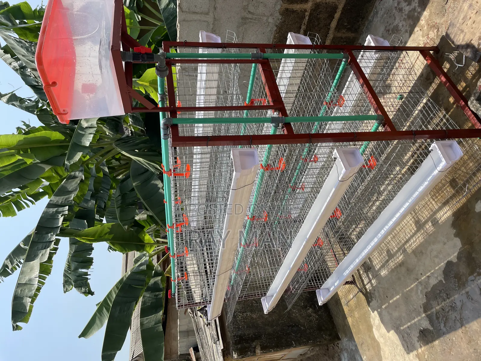 H-Type Layer Poultry Cages