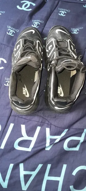 Nike Air Max
