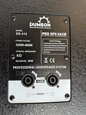 Dumson Full Range Double 15 Inches Loud-Speaker Ds-315