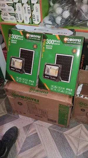 300w Solar Flood Light for Estate's/ Companies/ Hotels/ Factories