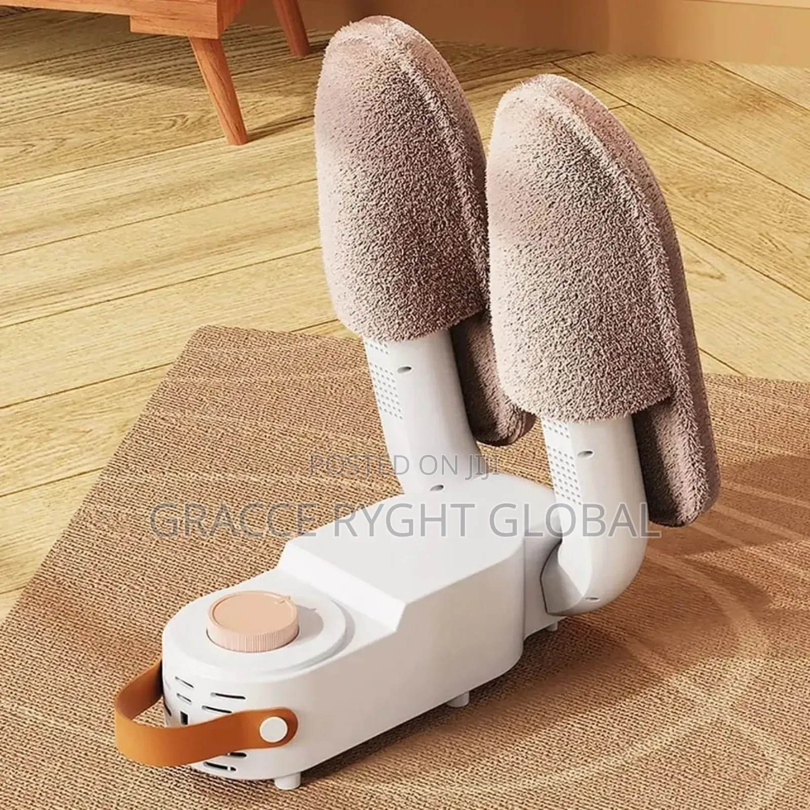 Electric Shoe Dryer