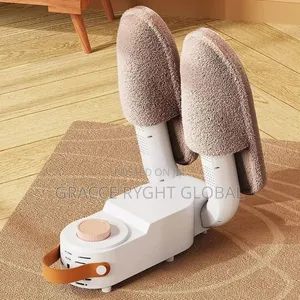 Electric Shoe Dryer