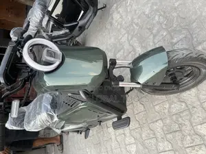 New Royal Electric Bike Motorcycle