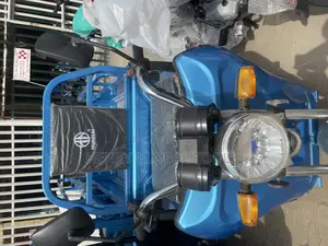 New Royal Electric Tricycle Motorcycle