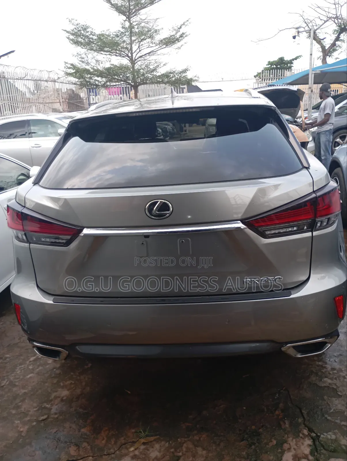 Lexus RX 2019 Gray
