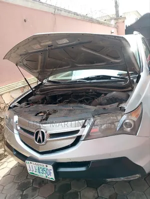 Acura MDX 2009 Silver