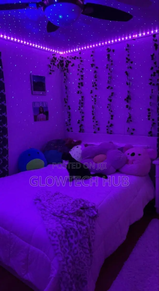 Bedroom Neon Lights Decorating