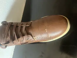 Steve Madden Shoe