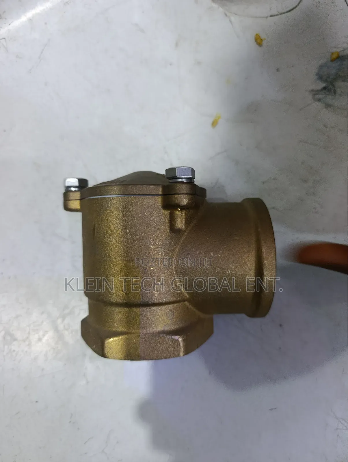 Angel Check Valve
