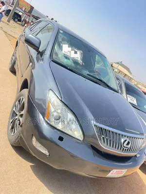 Lexus RX 2008 Gray