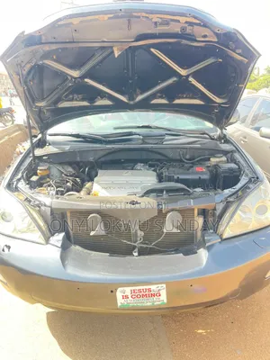 Lexus RX 2008 Gray