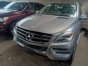 Mercedes-Benz M Class 2015 Gray