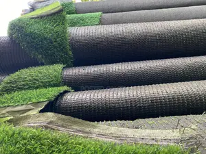 Artificial Grass