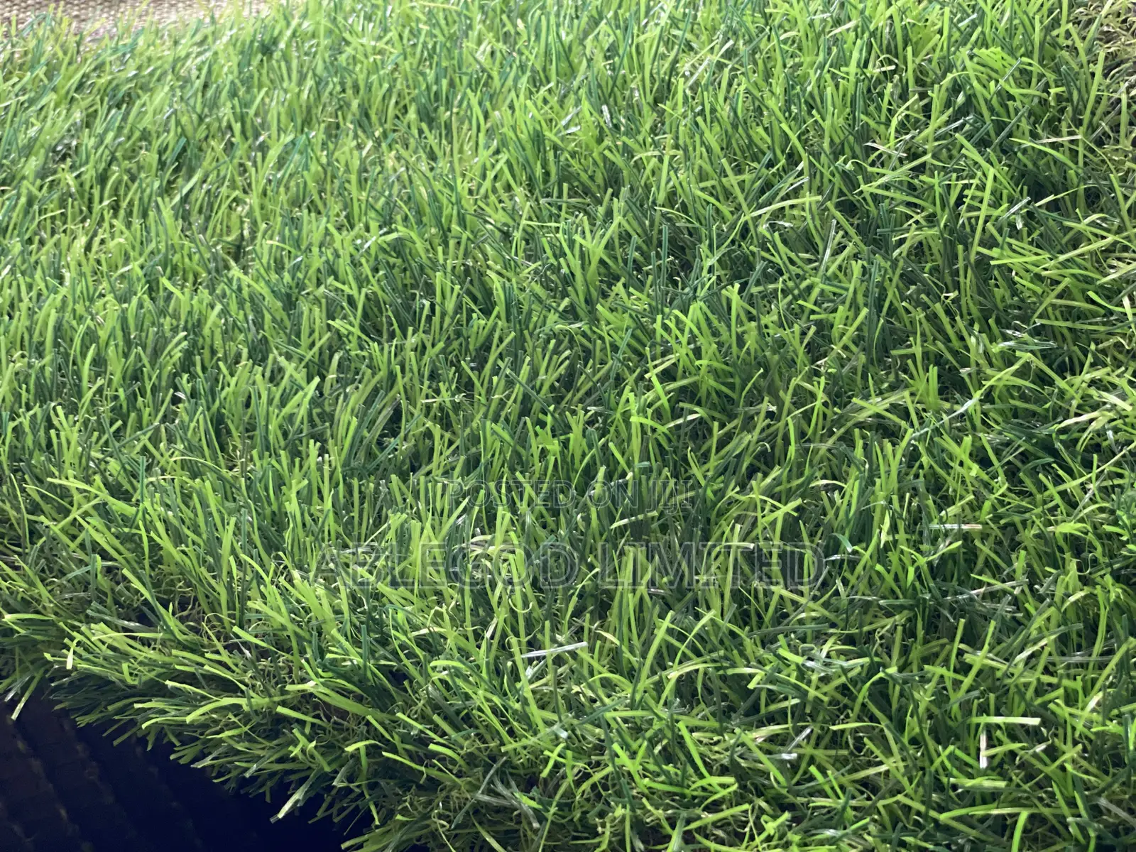 Artificial Grass