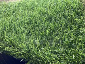 Artificial Grass