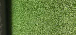 Artificial Grass