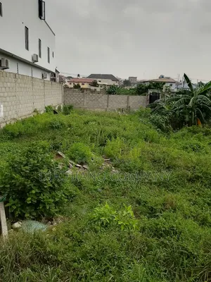 1,244 SQM Bare Land on Opebi Road