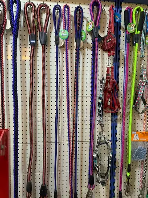 Binding Belt