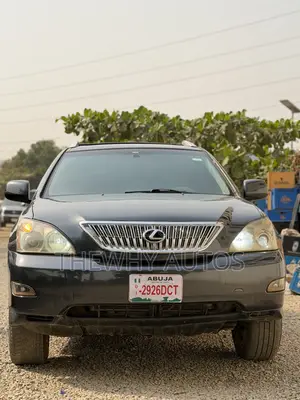 Lexus RX 330 2005 Gray