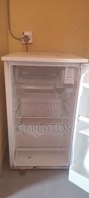Standing Fridge