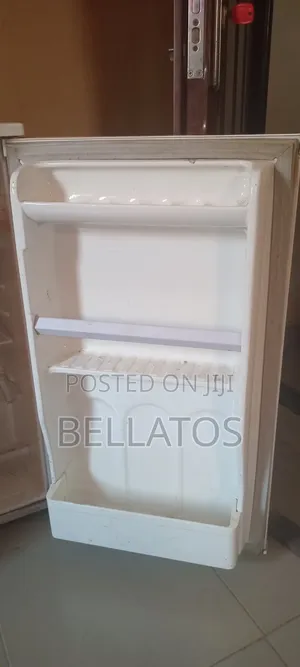 Standing Fridge