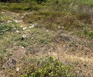 Lands for Sale