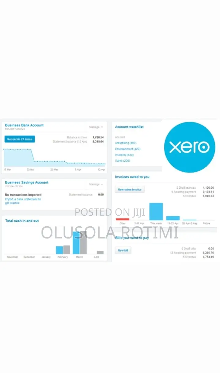 Xero Accounting Software Setup