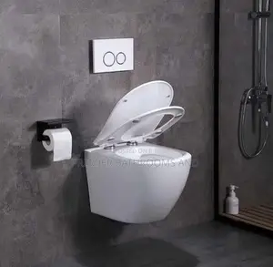 England Concealed Wc