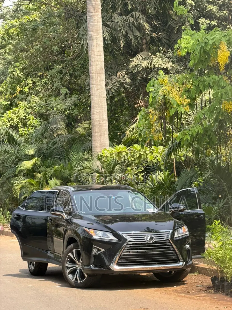 Lexus RX 2017 Black