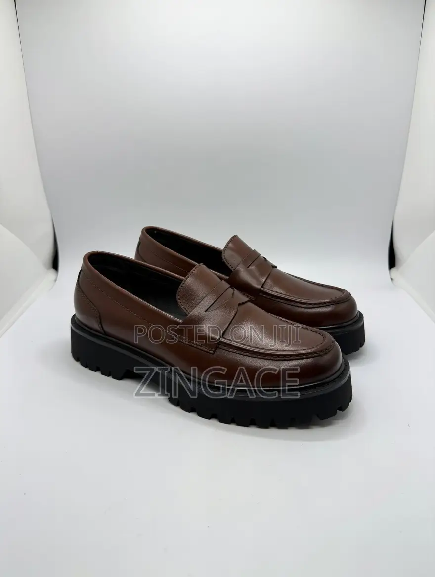 Loafer Shoes for Style Moggers.