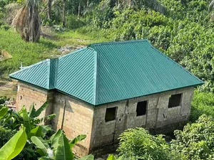 Longspan Aluminium Roofing Sheet 0.55m