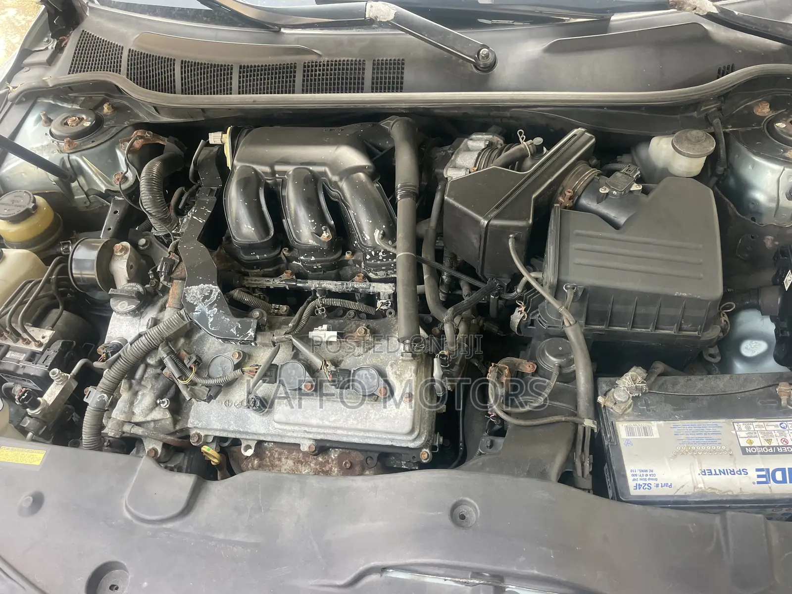 Toyota Camry XLE V6 4dr Sedan (3.5L 6cyl 6AM) 2009 Green