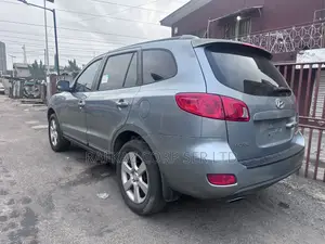 Hyundai Santa Fe 3.3 Limited 2008 Gray