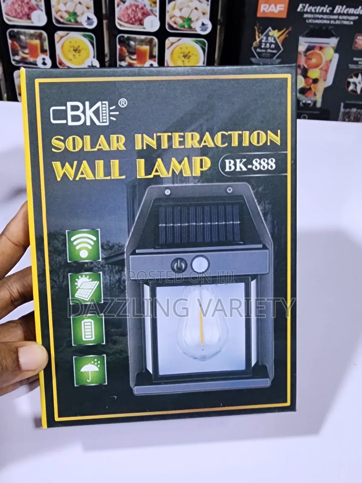 Solar Induction Wall Lamp