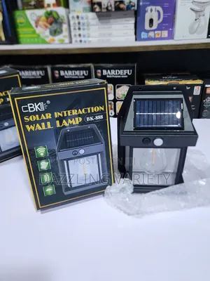 Solar Induction Wall Lamp