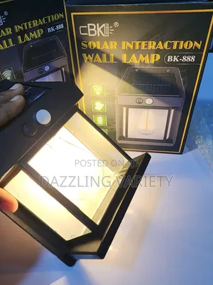Solar Induction Wall Lamp