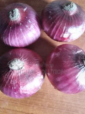 Big Jumbo Size Onions by 10 Pcs. Pick Up and Delivery Available.