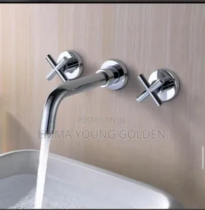Wall Mount Basin Mixer Stainless