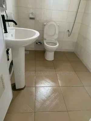 New Building Cleaning/Renovation Cleaning