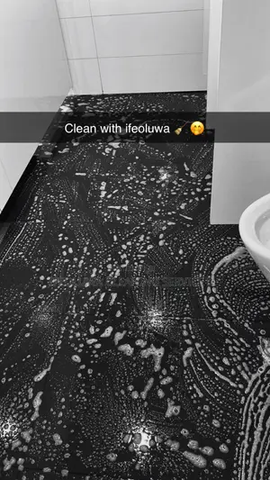 Professional Home and Office Deep Cleaning Services