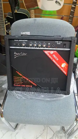Deviser Tb-30 Bass Guitar Amplifier With an 8-Inch Speaker