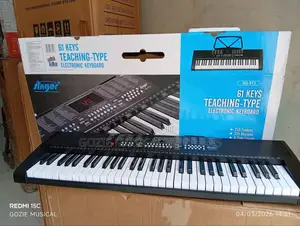 Complete 61 Key Singer Sg-913