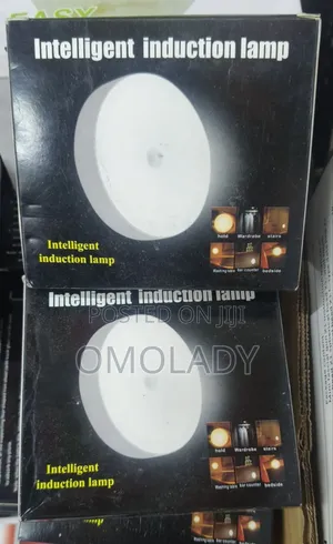 Body Induction Lamp Intelligent Induction Lamp