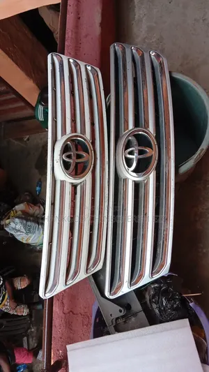 Frogrill Avensis Verso 05 Is Available for You